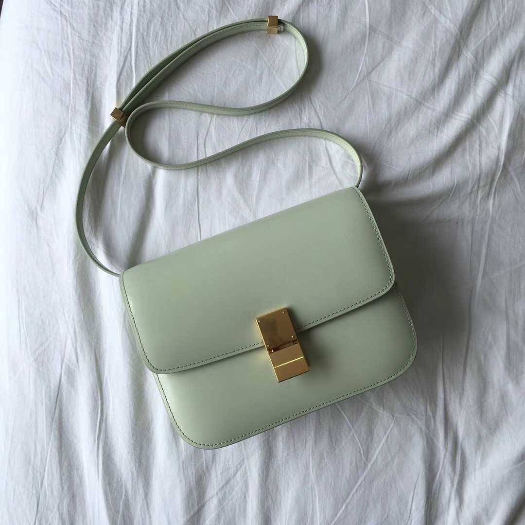 Ce1i*e Classic Light Green Bag in Box Calfskin Smooth Leather