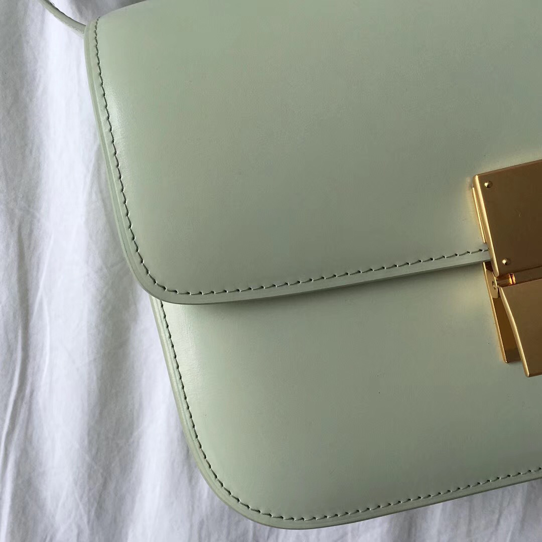 Ce1i*e Classic Light Green Bag in Box Calfskin Smooth Leather