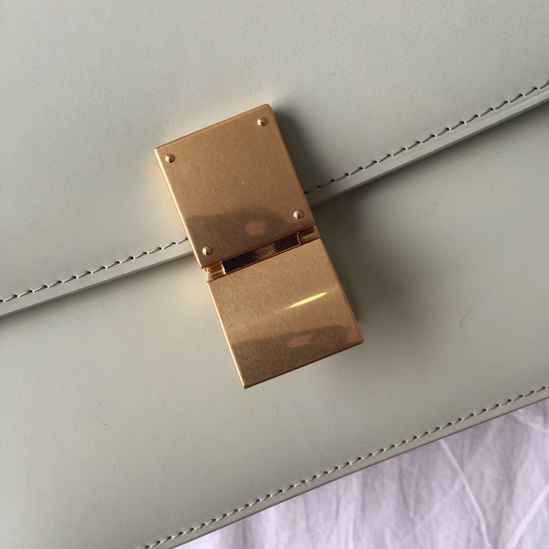 Ce1i*e Classic Light Green Bag in Box Calfskin Smooth Leather