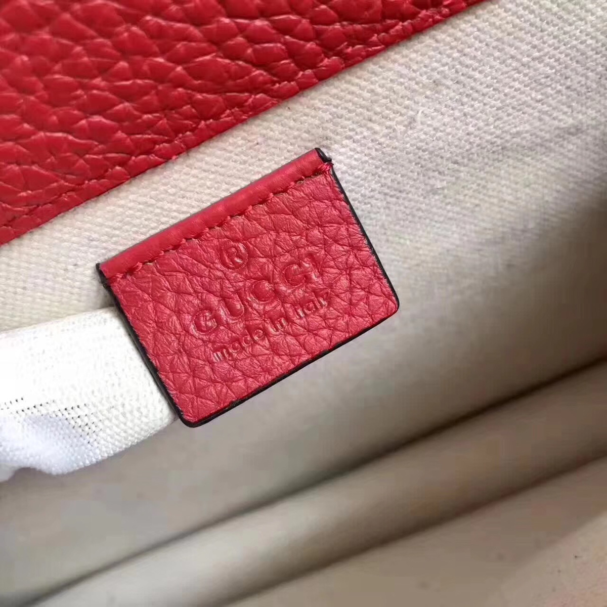 Gvc*1 Dionysus Blooms Bag In Red