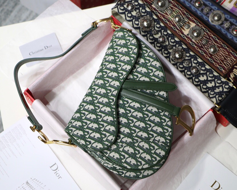 D10r Oblique Jacquard Canvas Calfskin leather Saddle Large Bag in Green