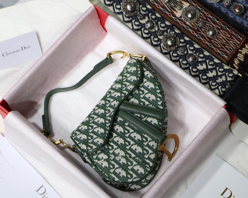 D10r Oblique Jacquard Canvas Calfskin leather Saddle Small Bag in Green