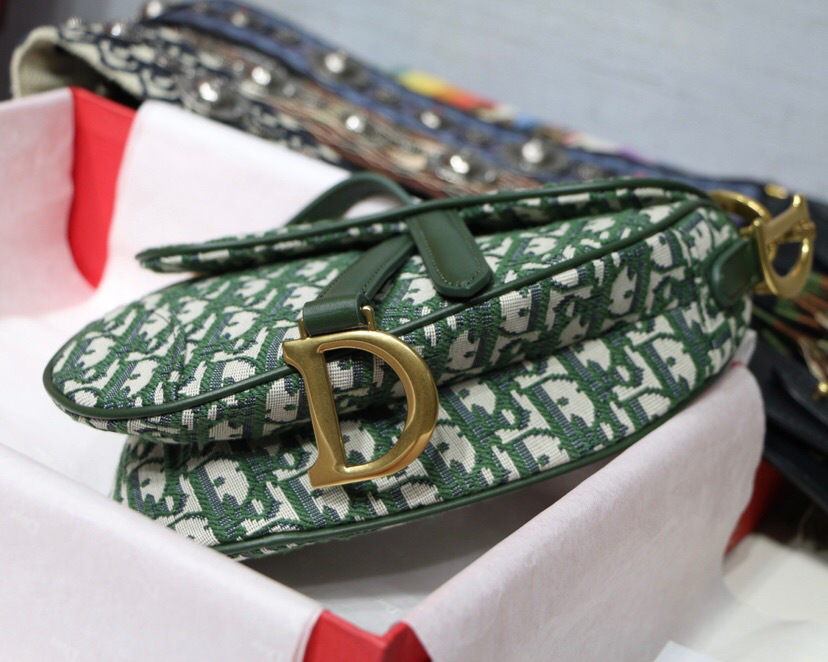 D10r Oblique Jacquard Canvas Calfskin leather Saddle Small Bag in Green