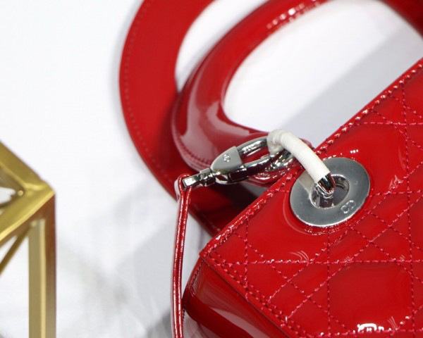 D10r Lady Handbag in Red With Silver Hardware 24CM