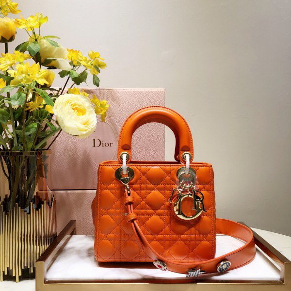 D10r Lady D10r Leather Orange Handbag 20CM