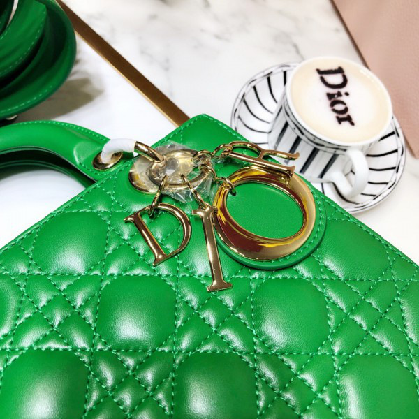 D10r Lady D10r Leather Green Handbag 20CM