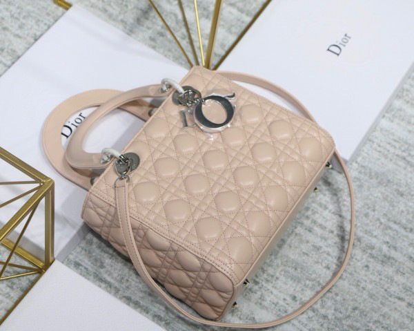 D10r Lady Light Pink Handbag With Silver Hardware 24CM