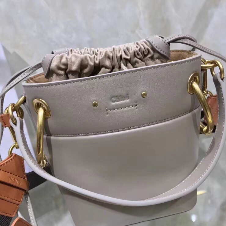 Chloe mini roy bucket bag in Gray