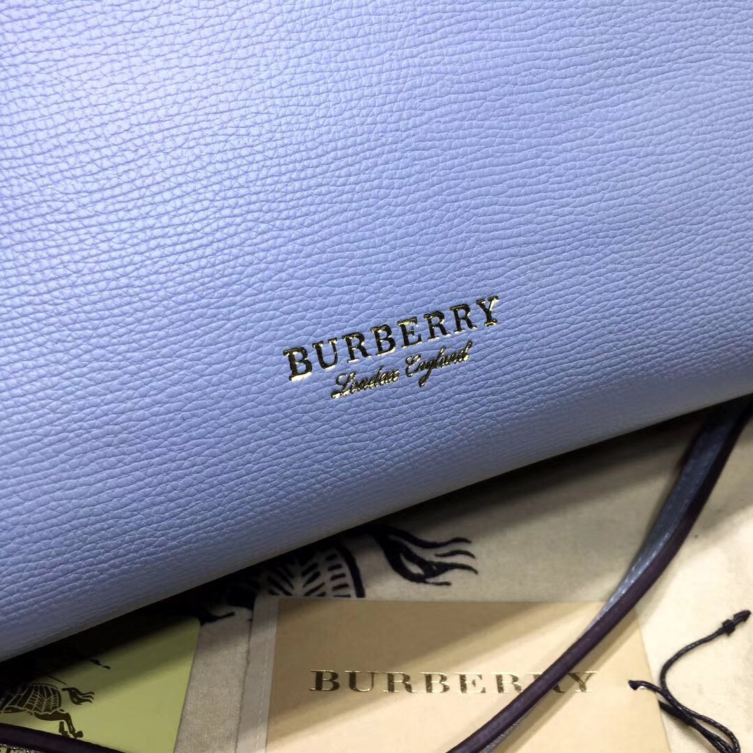 Bv*b*rry Classic Leather Tote Bag with Light Blue