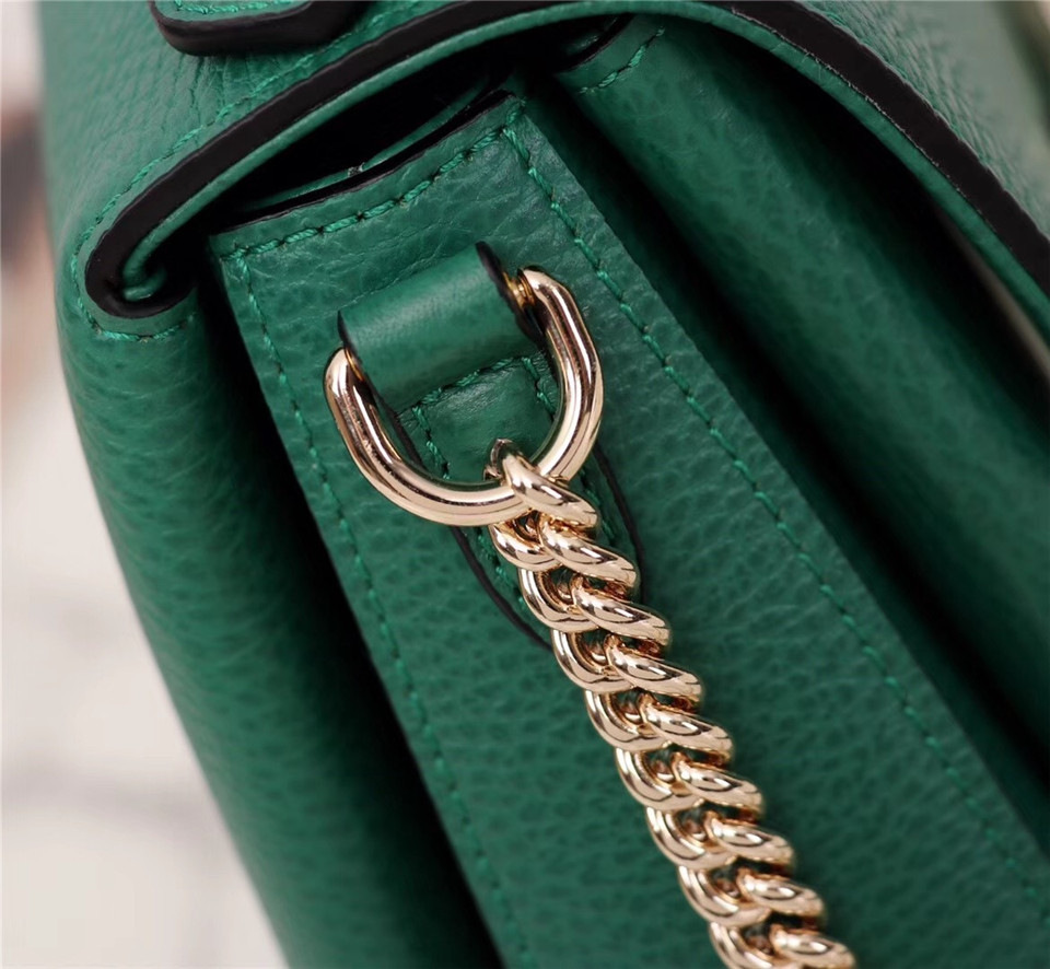 Gvc*1 Orignial Calfskin Handbag in Green 510320