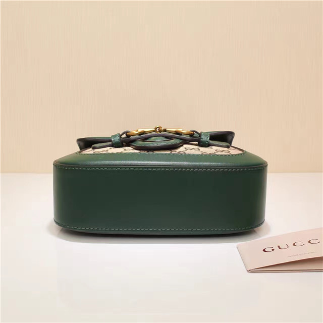 Gvc*1 Original Canvas Calfskin Shoulder Bag Green 384821