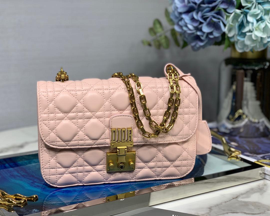 D10r Addict Lambskin retro chain Pink bag