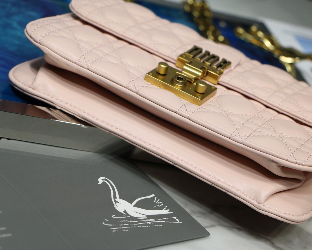 D10r Addict Lambskin retro chain Pink bag