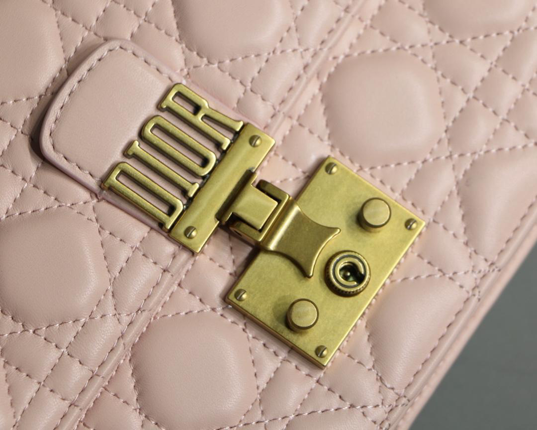 D10r Addict Lambskin retro chain Pink bag