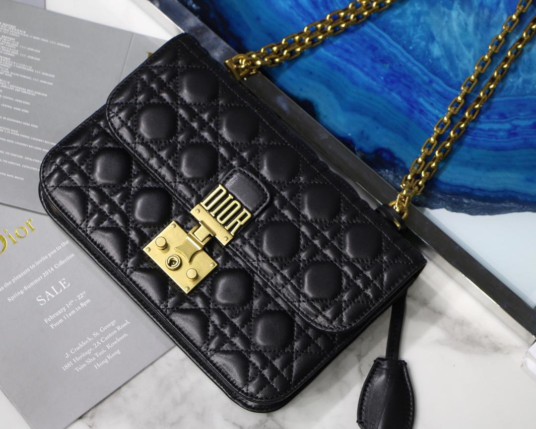 D10r Addict Lambskin retro chain Black bag