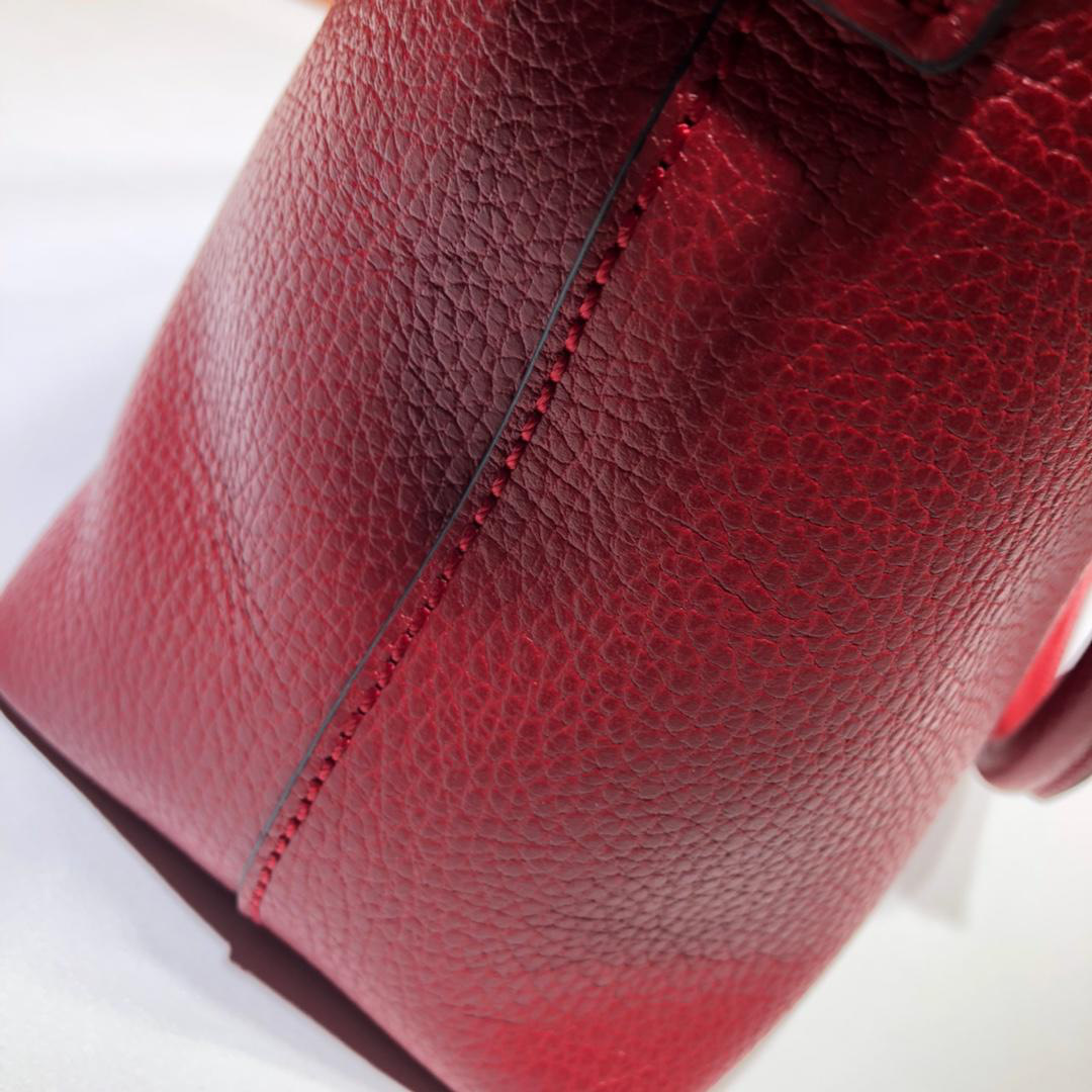 Bagsaa Gvc*1 Calfskin Red Handbag