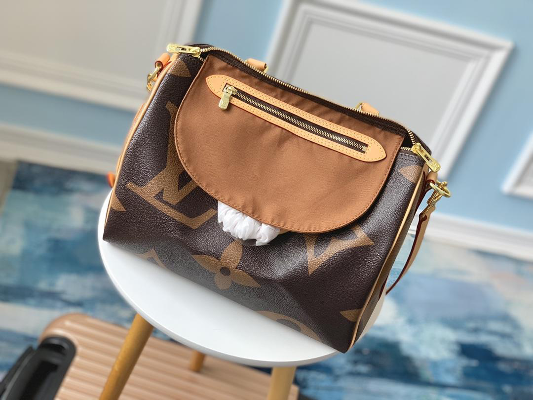 LV Speedy Handbag 30cm M41112