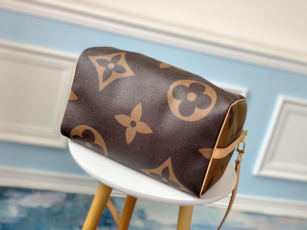 LV Speedy Handbag 30cm M41112