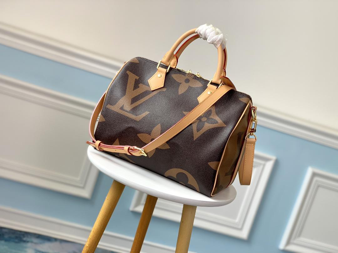 LV Speedy Handbag 30cm M41112