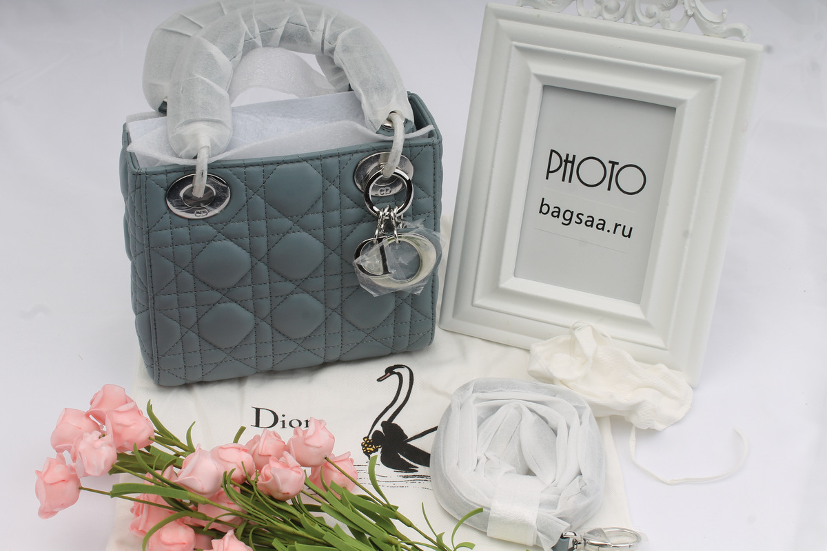 D10r Mini Lady D10r Leather Handbag with Sliver Hardware 17cm