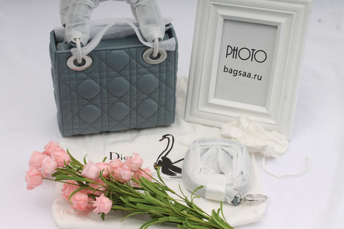 D10r Mini Lady D10r Leather Handbag with Sliver Hardware 17cm