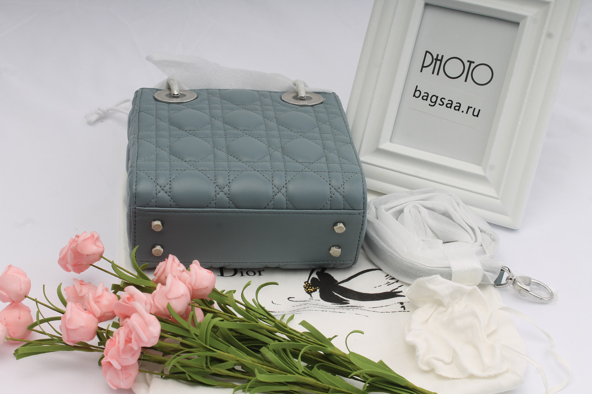 D10r Mini Lady D10r Leather Handbag with Sliver Hardware 17cm
