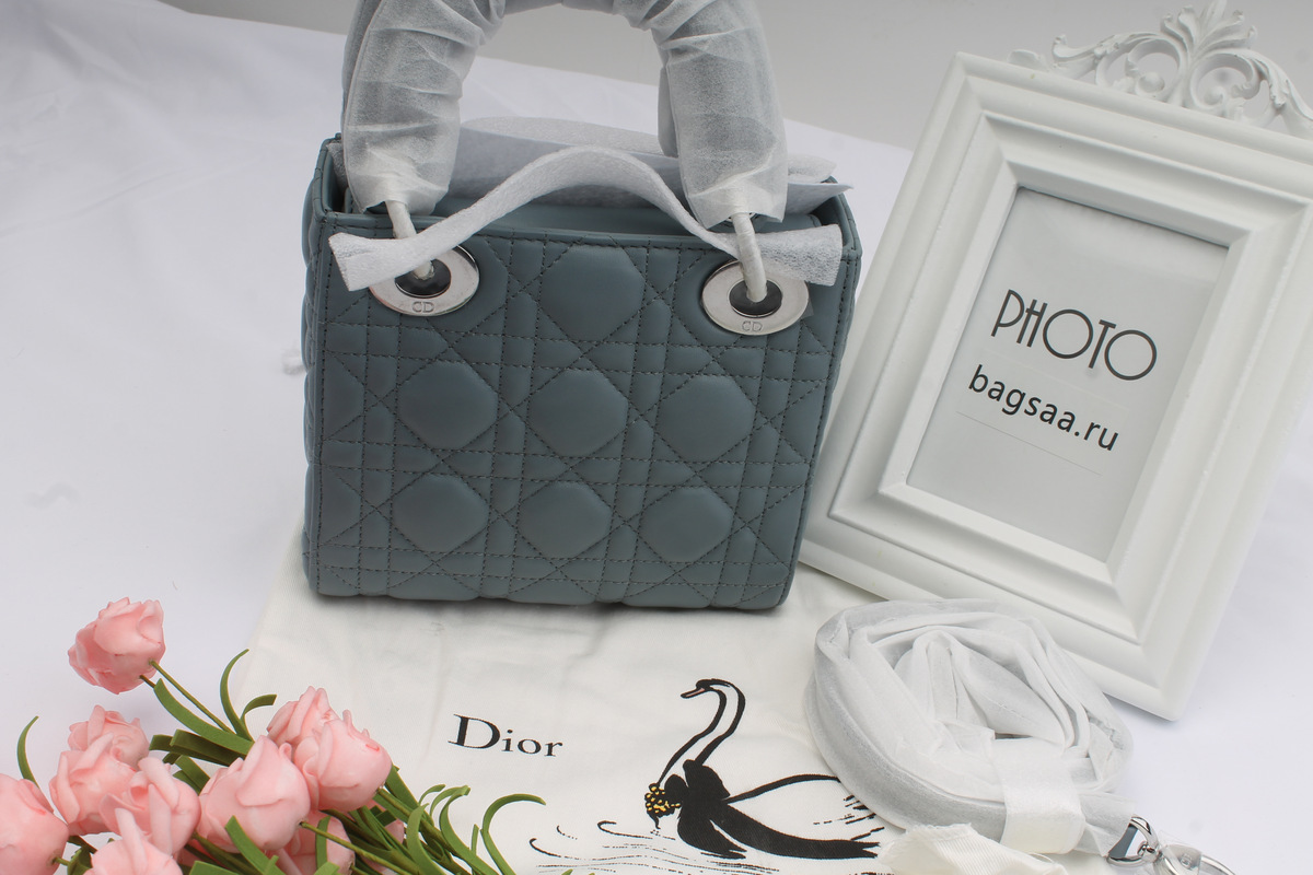 D10r Mini Lady D10r Leather Handbag with Sliver Hardware 17cm