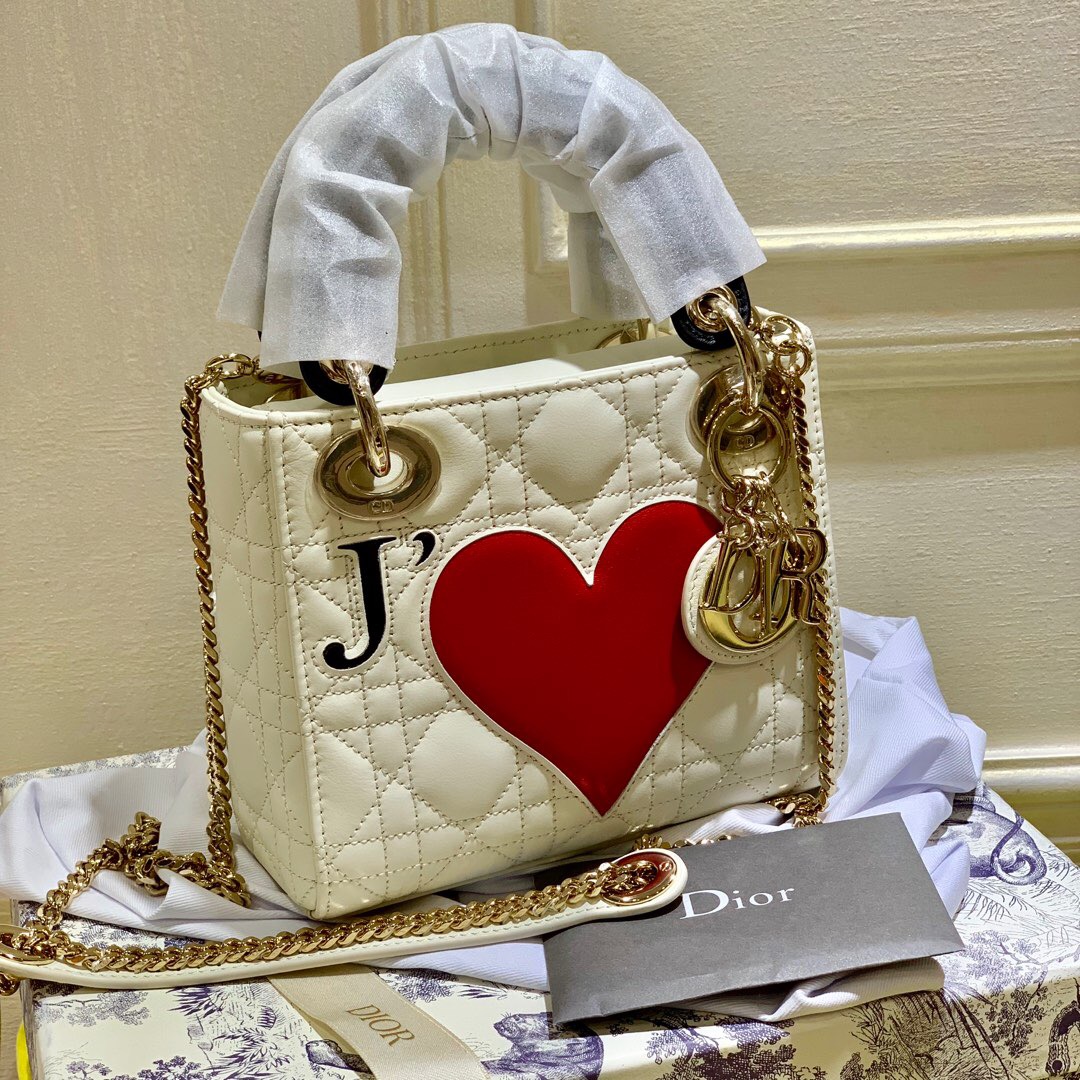 D10r Mini Lady D10r Leather Handbag with Gold Hardware 17cm