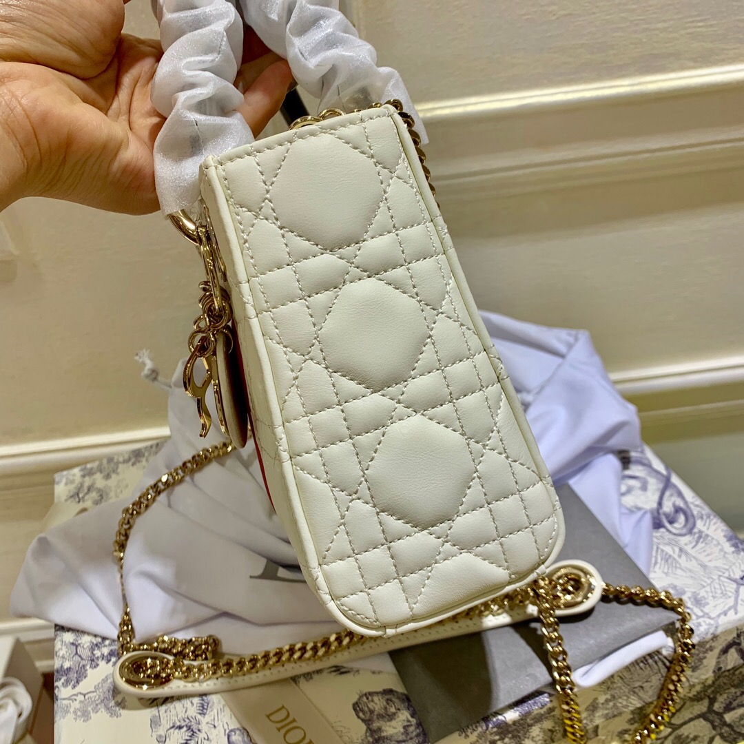 D10r Mini Lady D10r Leather Handbag with Gold Hardware 17cm