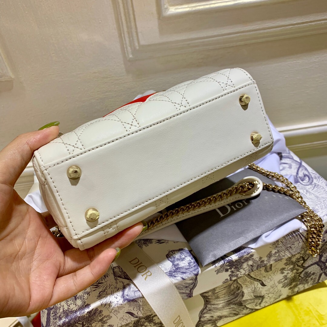 D10r Mini Lady D10r Leather Handbag with Gold Hardware 17cm