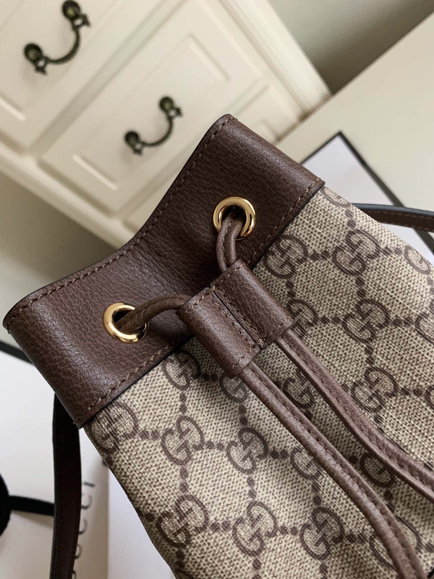 Gvc*1 Ophidia mini GG bucket bag
