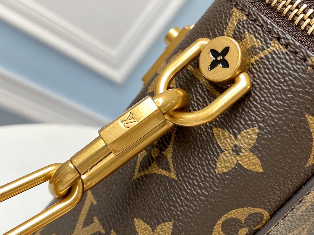 LV Mini chain bucket bag Monogram