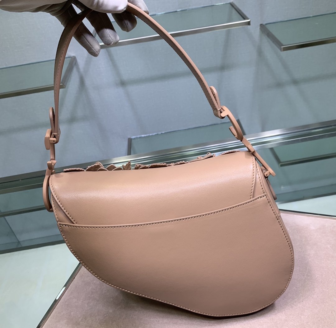 D10r Saddle rose des vents bag M0446