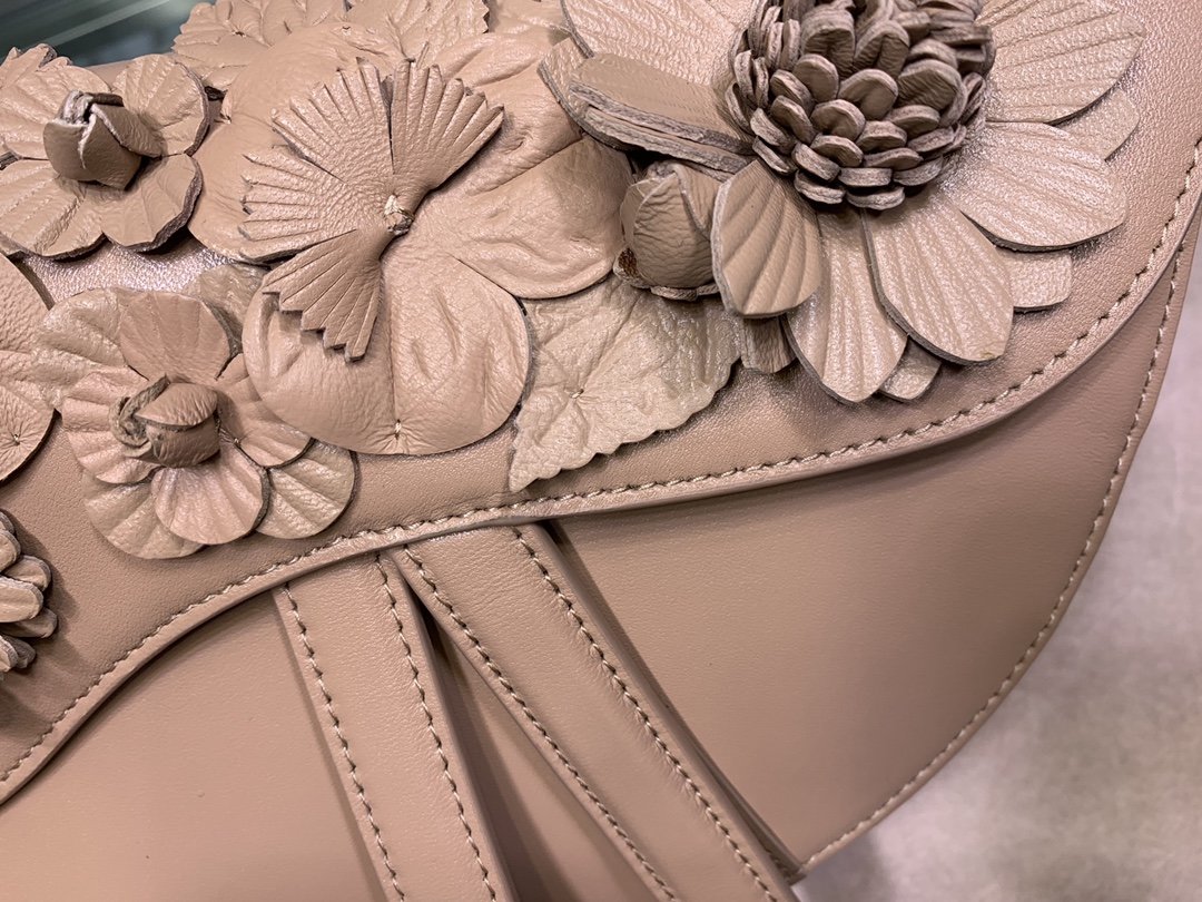 D10r Saddle rose des vents bag M0446
