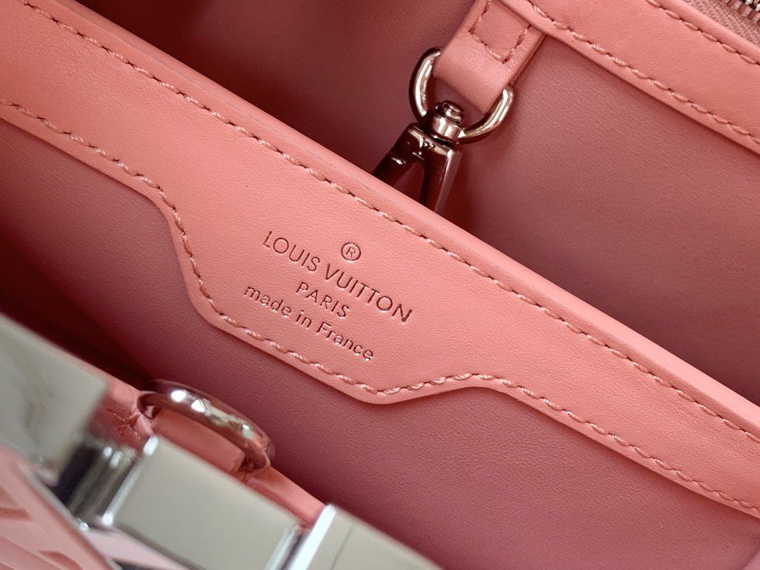 LV Capucines Small handbag M55534