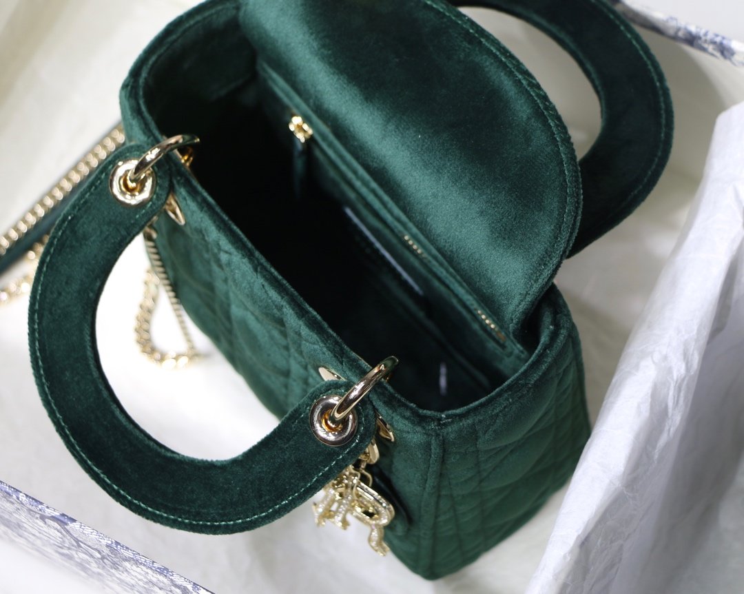 Lady D10r Mini Bag 17cm Green