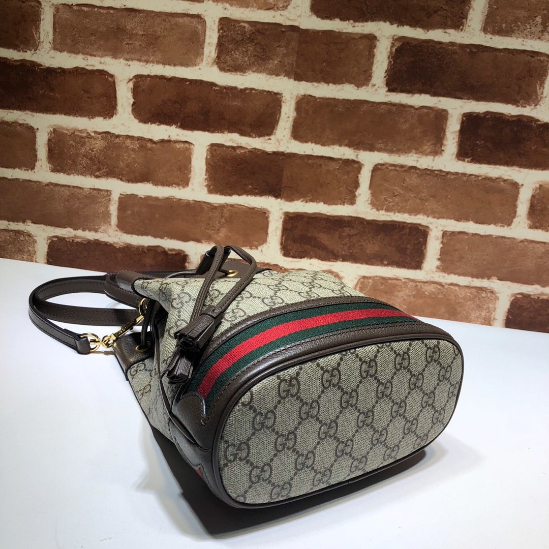 Gvc*1 Ophidia small GG bucket bag