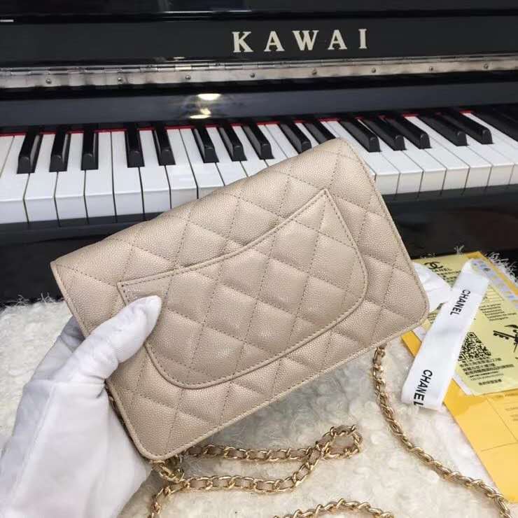Ch**el Woc bag 19cm
