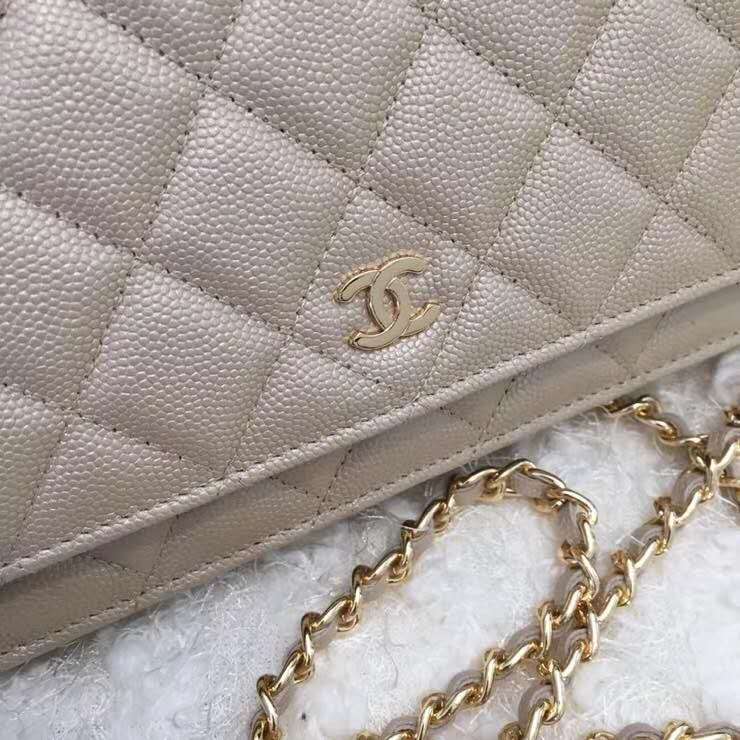 Ch**el Woc bag 19cm