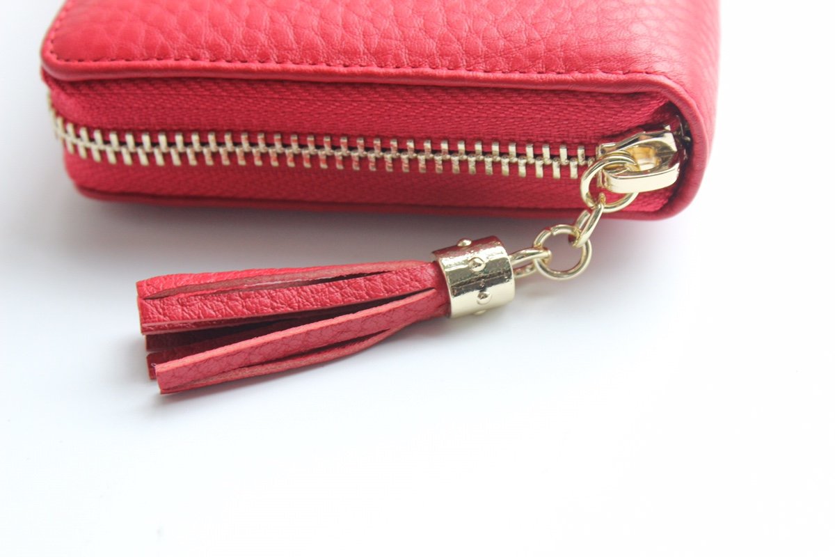 Gvc*1 Wallet 003