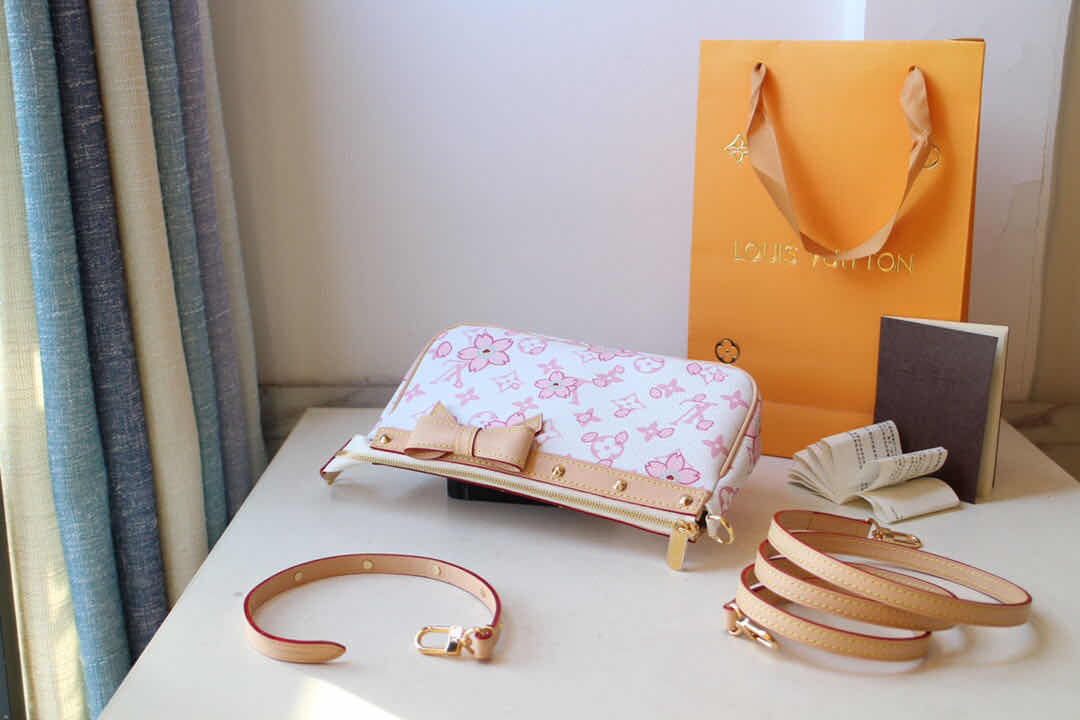 LV POCHETTE ACCESSOIRES M67760