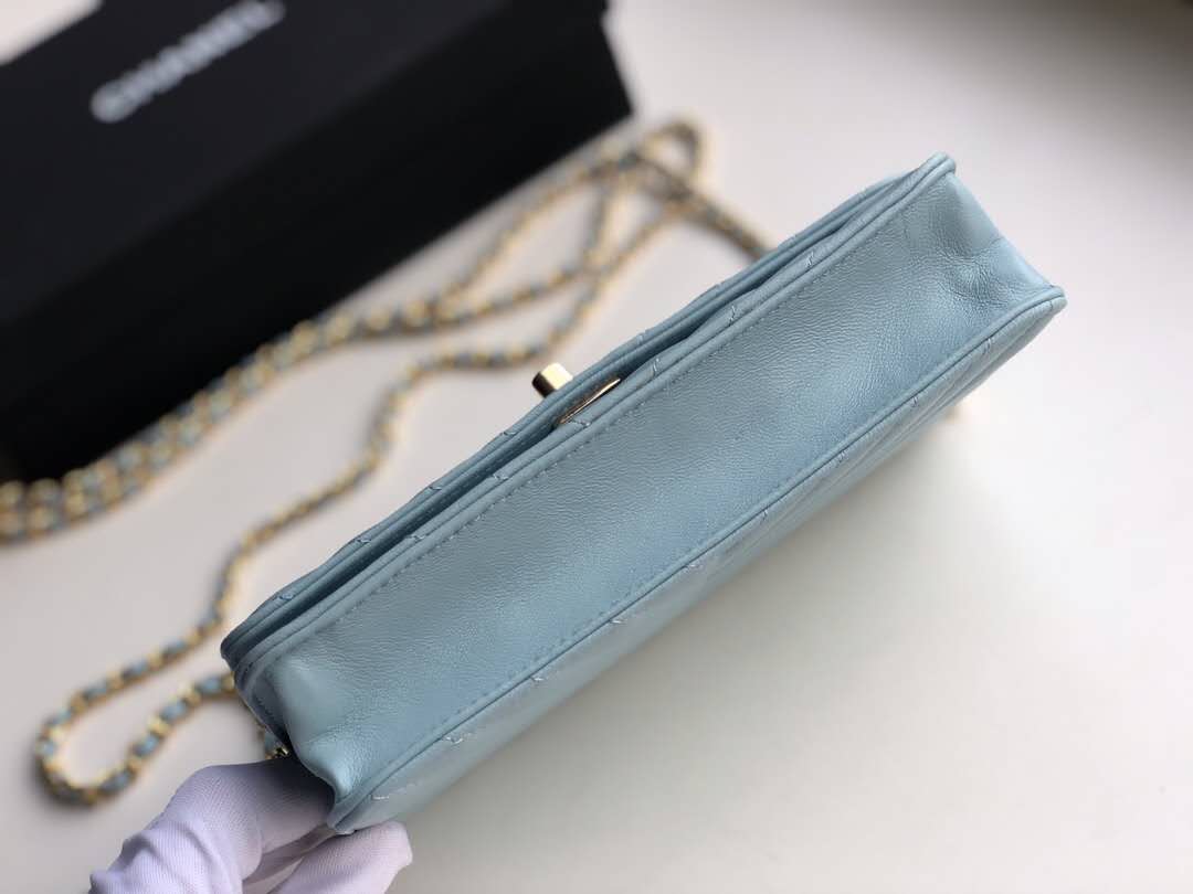 Ch**el Woc bag 18cm
