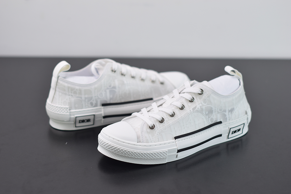 D10r Oblique Sneakers