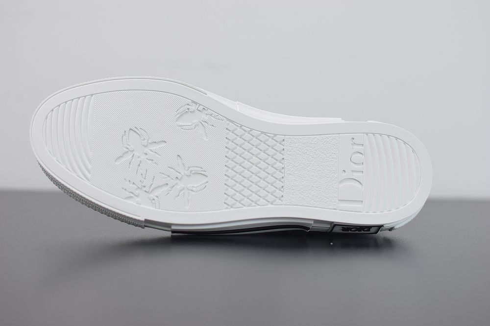 D10r Oblique Sneakers