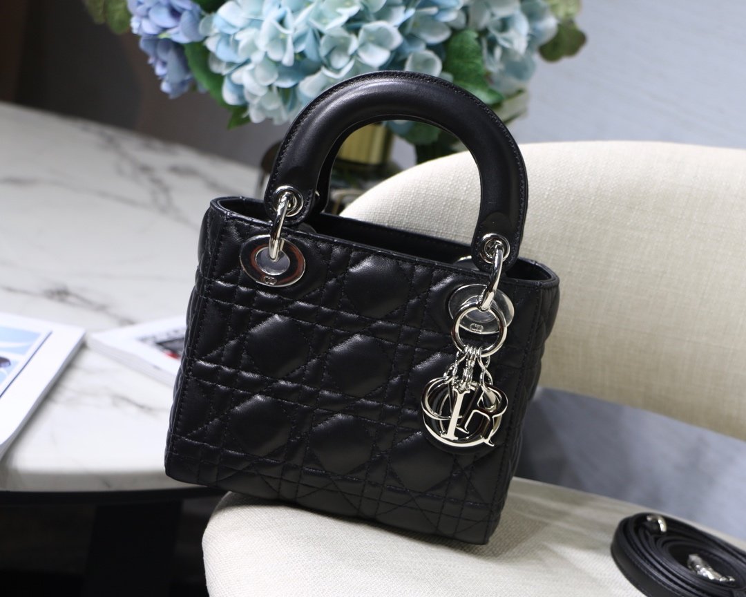D10r mini lambskin bag 17cm 