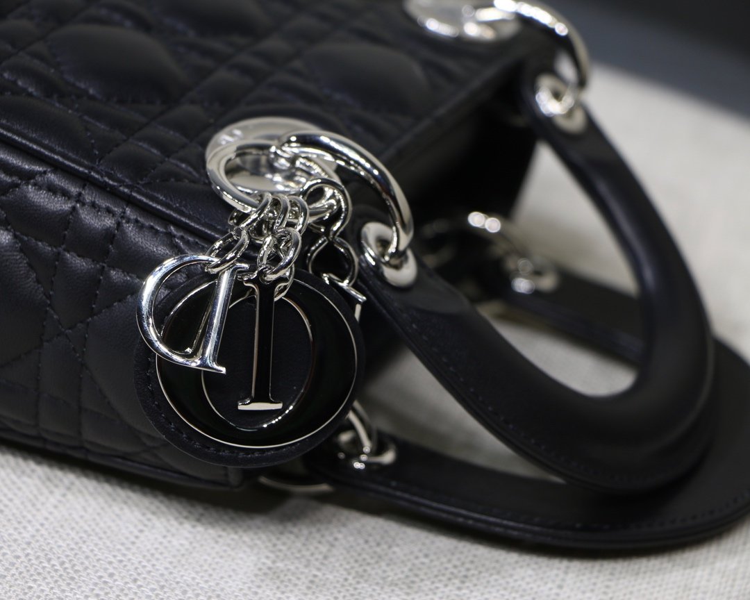 D10r mini lambskin bag 17cm