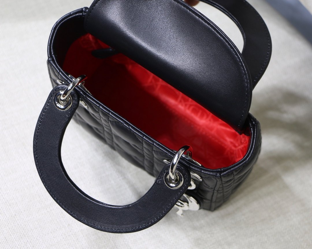 D10r mini lambskin bag 17cm