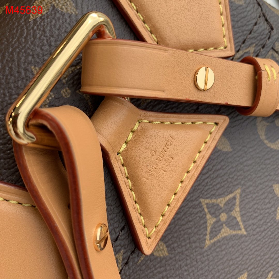 L0vis Vvtt0n Backpack M45639
