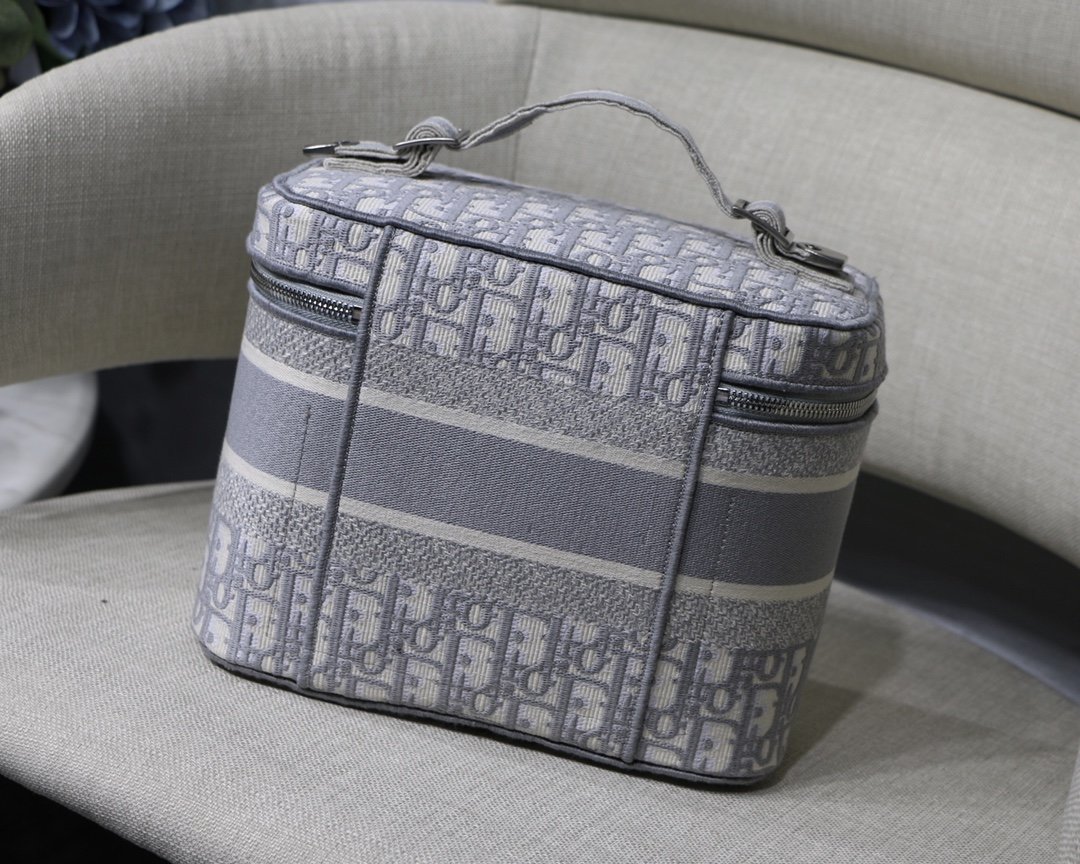 D10r Oblique Cosmetic Bag
