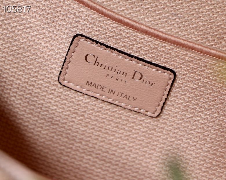 D10r Oblique Cosmetic Bag 002